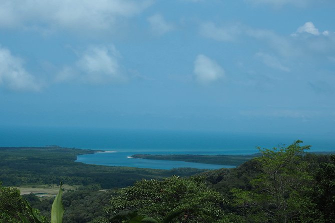 Cape Tribulation & Daintree Wilderness (TCT) - Wildlife Habitat Experience