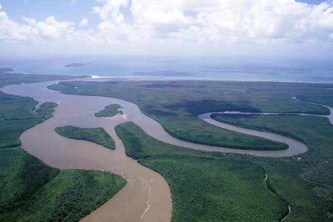 Cape Tribulation Day Tour