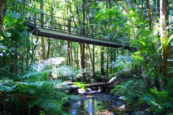 Cape Tribulation, Mossman Gorge, and Daintree Rainforest Day Trip