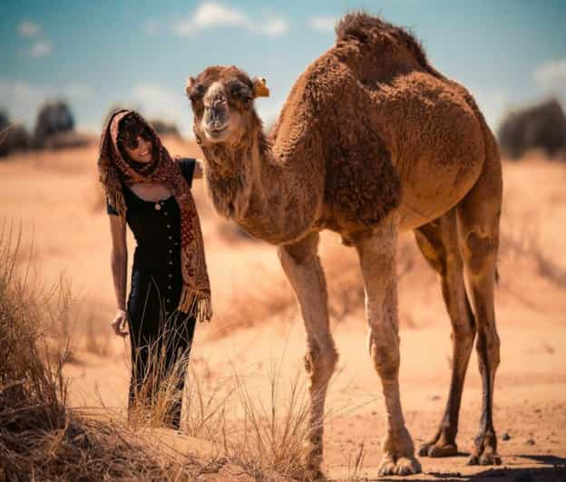 Cappadocia: Camel Safari With Transfer