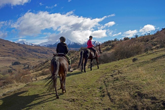 Cardrona Gold Discovery Trail Horse Trek(Beginner/Child Friendly)