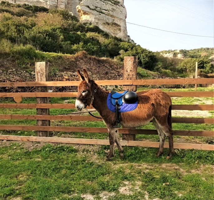 Cargeghe: Trekking With Donkeys Day Trip With Aperitif