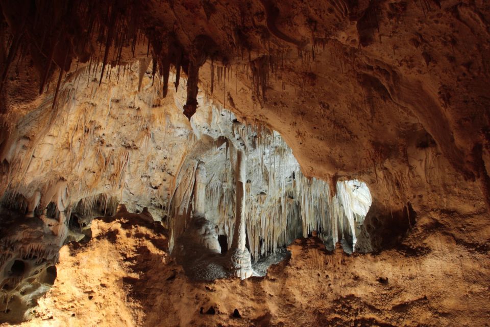 Carlsbad Caverns National Park Walking Audio Tour - Tour Overview