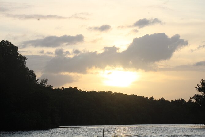 Caroni Bird Sanctuary Tour - Wildlife Encounters