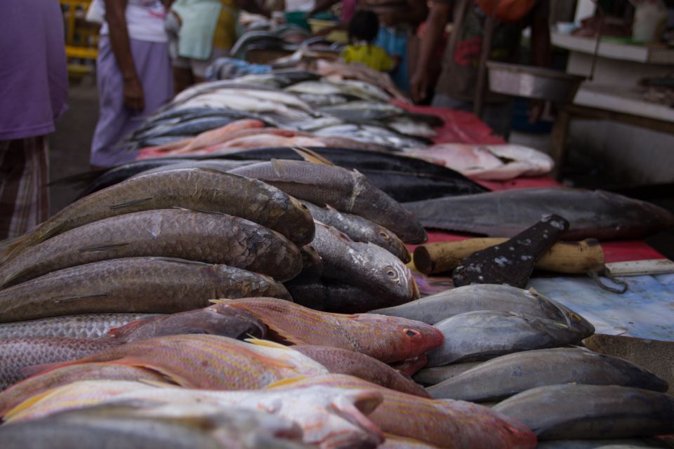 Cartagena: 3-Hour Bazurto Market Tour