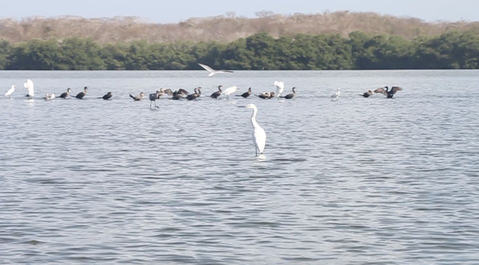 Cartagena Fishing, Crabbing, Birdwatching Experience + Lunch