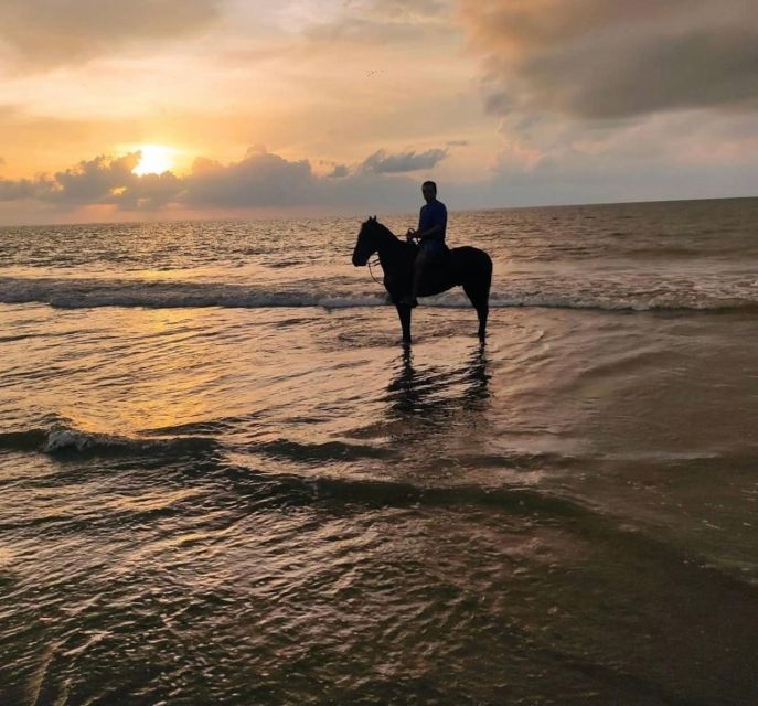 Cartagena: Horseback Ridding Excursion on the Beach