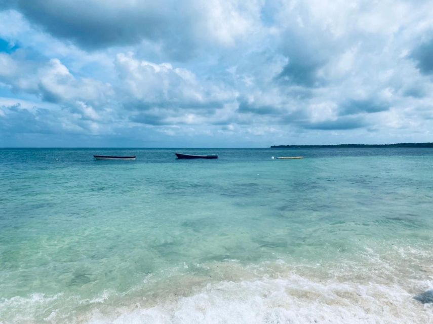 Cartagena: LUMINOUS Plankton, Playa Blanca, Lunch and Snack - Tour Overview