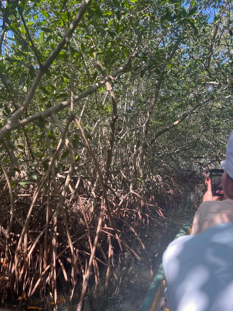 Cartagena Native Fishing Through The Mangroves