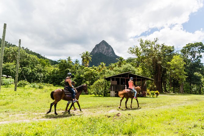 Catamaran Day Trip to Soufriere for Cruise Ship Passengers