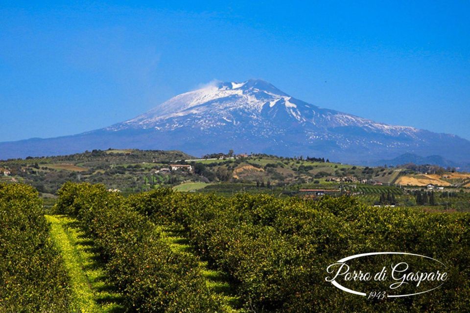 Catania: Gaspare Well Farm Guided Tour With Tastings