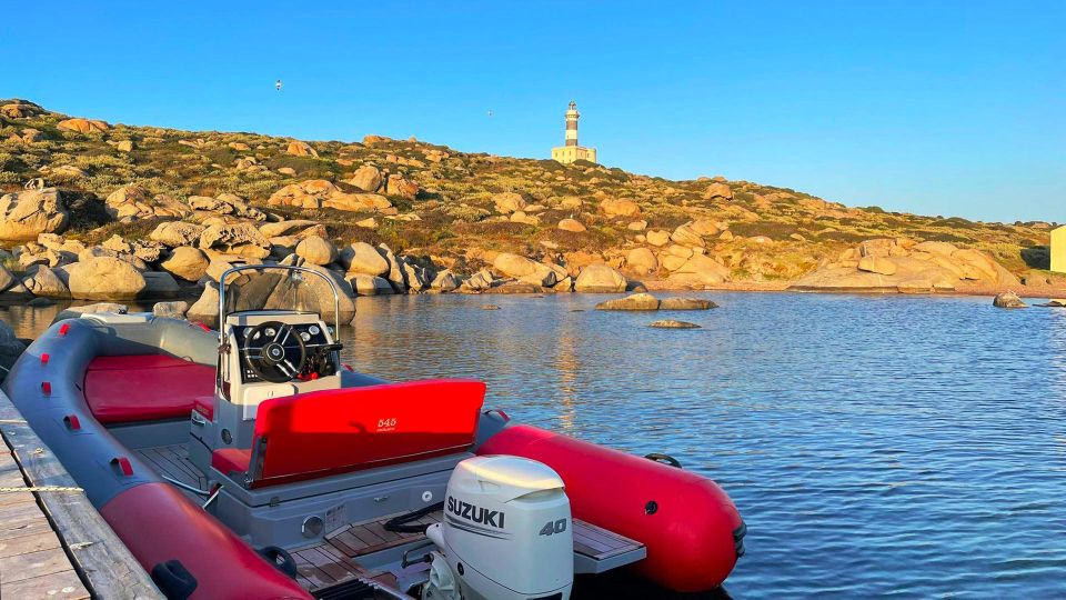 Cavoli Island: Sunset Rubber Boat Tour With Aperitif