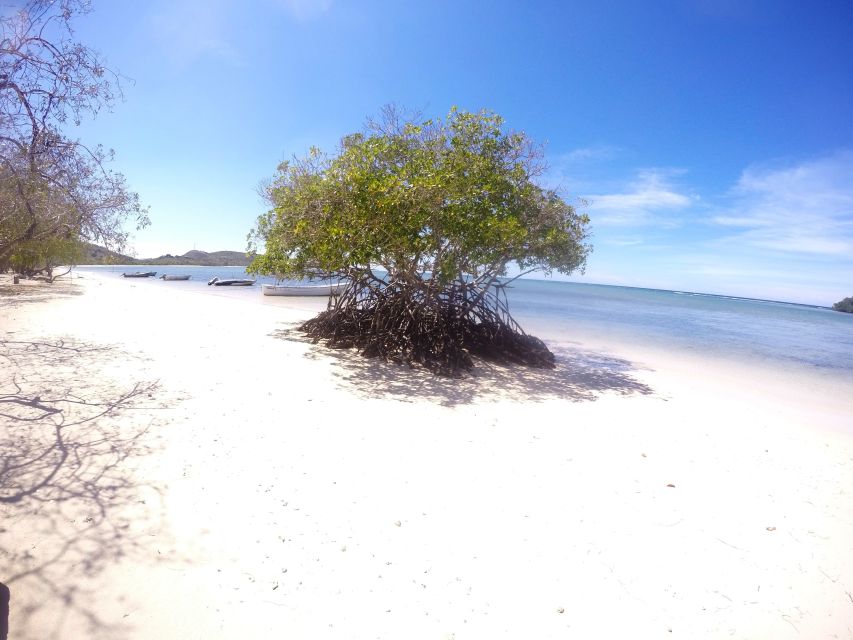 Cayo Arena: Paradise Island and Mangroves Tour