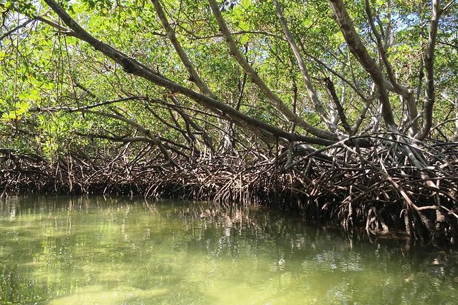 Cayo Arena, Paradise Island Tour