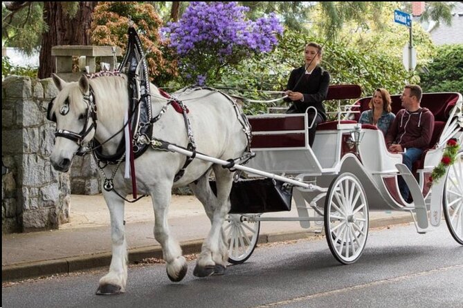 Central Park and NYC Horse Carriage Ride OFFICIAL ( ELITE Private) Since 1970™ - Private Tour Details