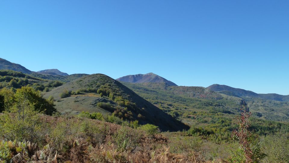 Cesaro: Private Guided Hike to Mount Pelato With Lunch