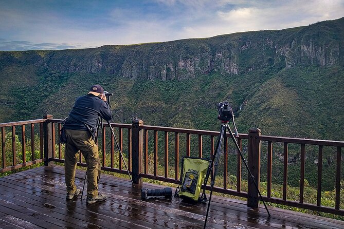 Chakana Reserve: Unique Andean Wildlife, Condors, Ecuadorian Hillstar & Bears