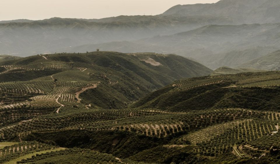 Chania Luxury Jeep Safaris: Manousakis Vineyard & Winery - Overview of the Safari