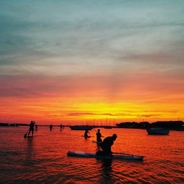 Charleston: Folly Beach Stand Up Paddleboard Dolphin Safari