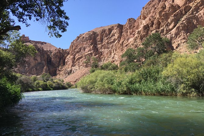 Charyn Canyon Private Tour From Almaty, 1 Day