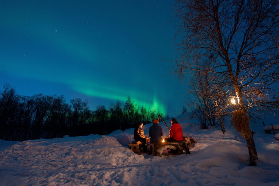 Chasing the Dancing Aurora in Our Winter Camp in Harstad - Activities to Enjoy in Winter