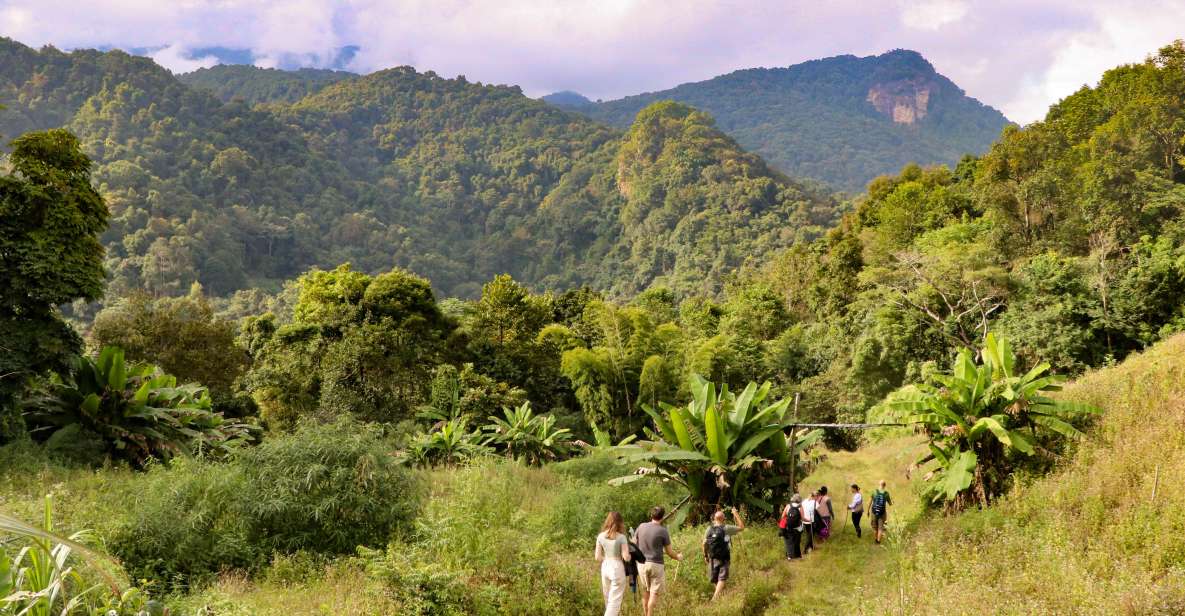 Chiang Mai: Doi Inthanon Highlights and Hiking Private Tour