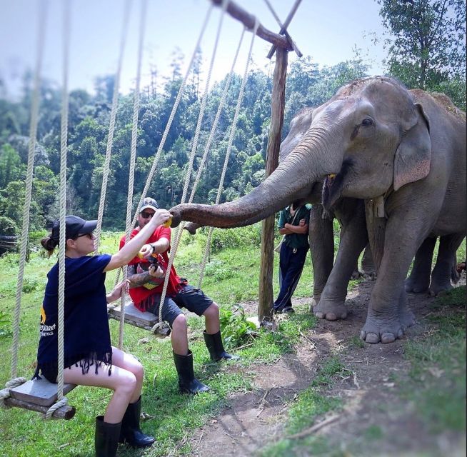 Chiang Mai : Ethical Elephant Sanctuary and ATV Adventure