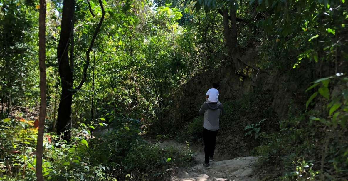 Chiang Mai Monks Trail Wat Pha Lat & Visit Wat Doi Suthep