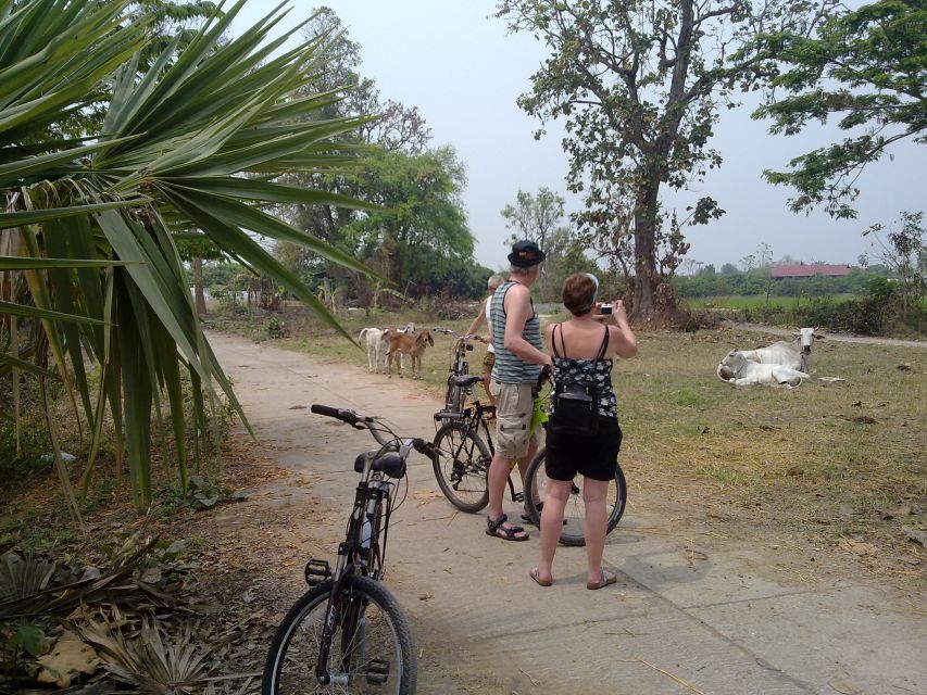 Chiang Mai Paradise Full Day Bicycle Tour - Tour Overview