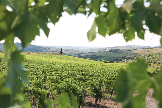 Chianti Wine Tour From Florence - Overview of the Tour