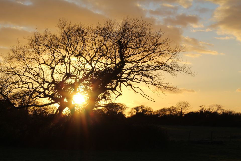 Chichester and West Sussex Photography and Tourist Tours