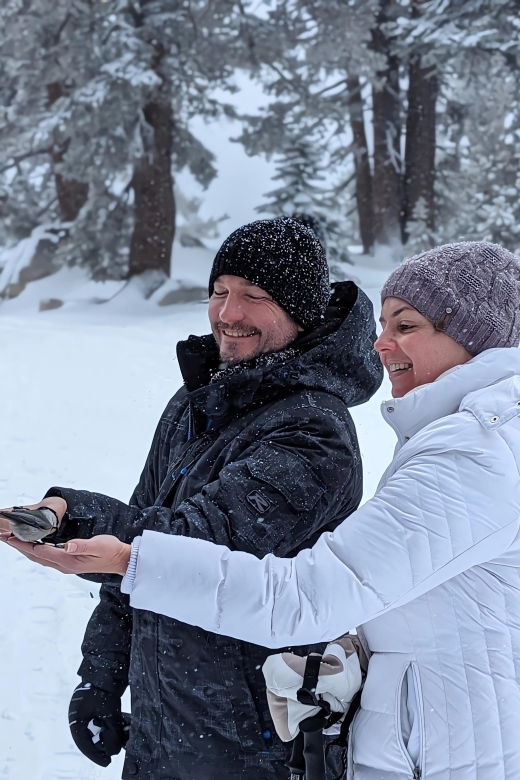 Chickadee Ridge Beginner Snowshoeing Hike