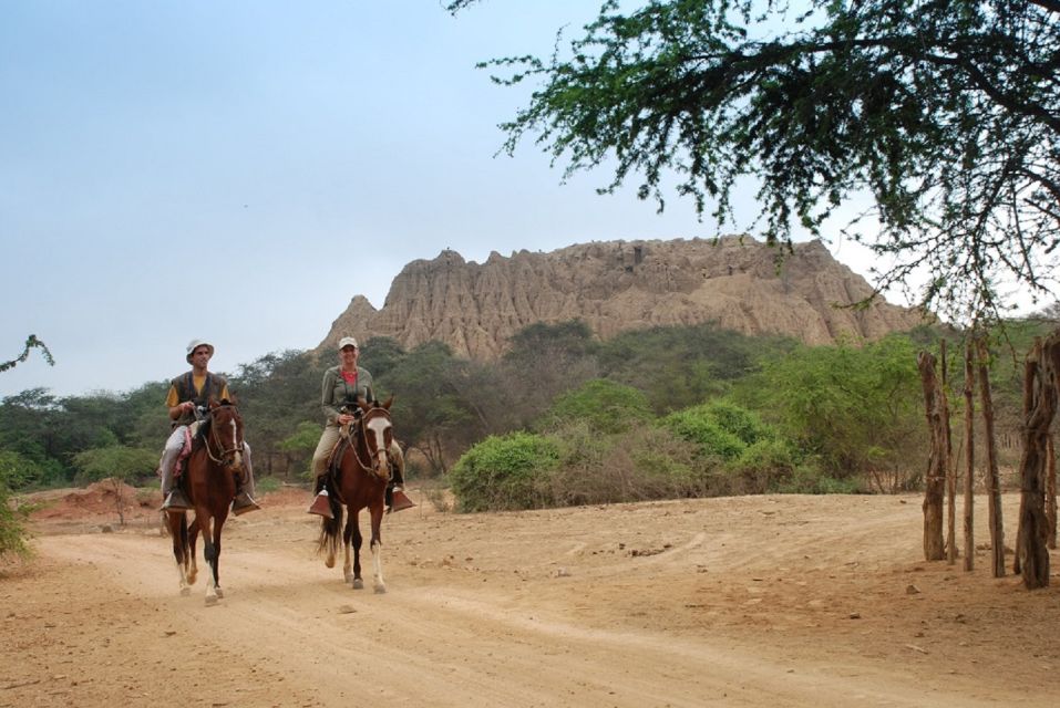 Chiclayo: Pomac Forest Historic Sanctuary & Sican Museum