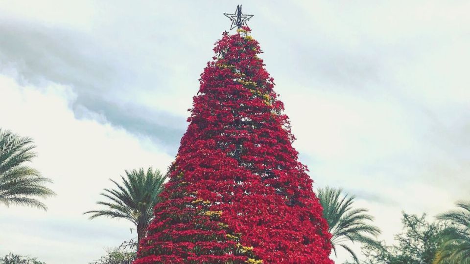 Chihuahua: Magical Christmas Guided Walking Tour