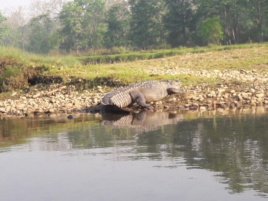 Chitwan National Park Safari