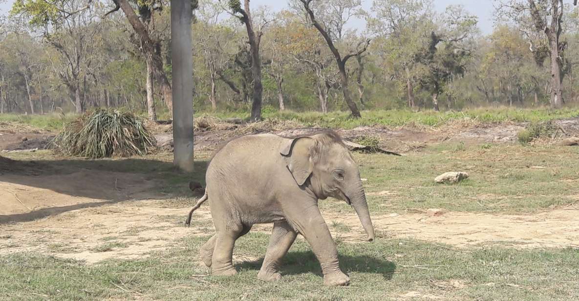 Chitwan National Park Tour