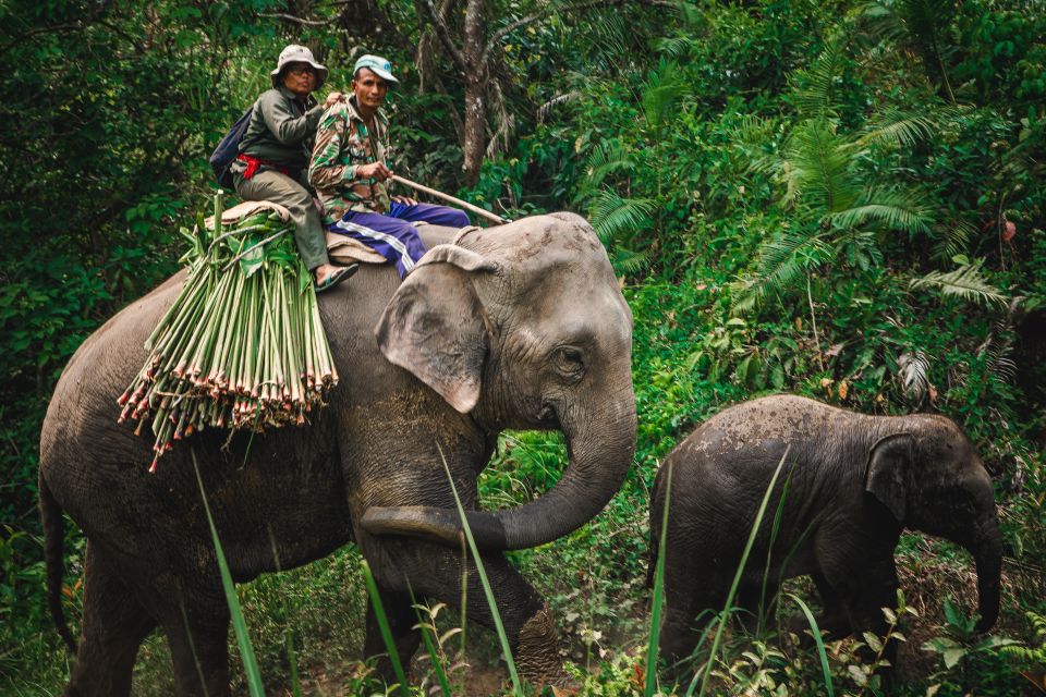 Chitwan:2 Night 3 Days Jungle Safari Adventure Tour