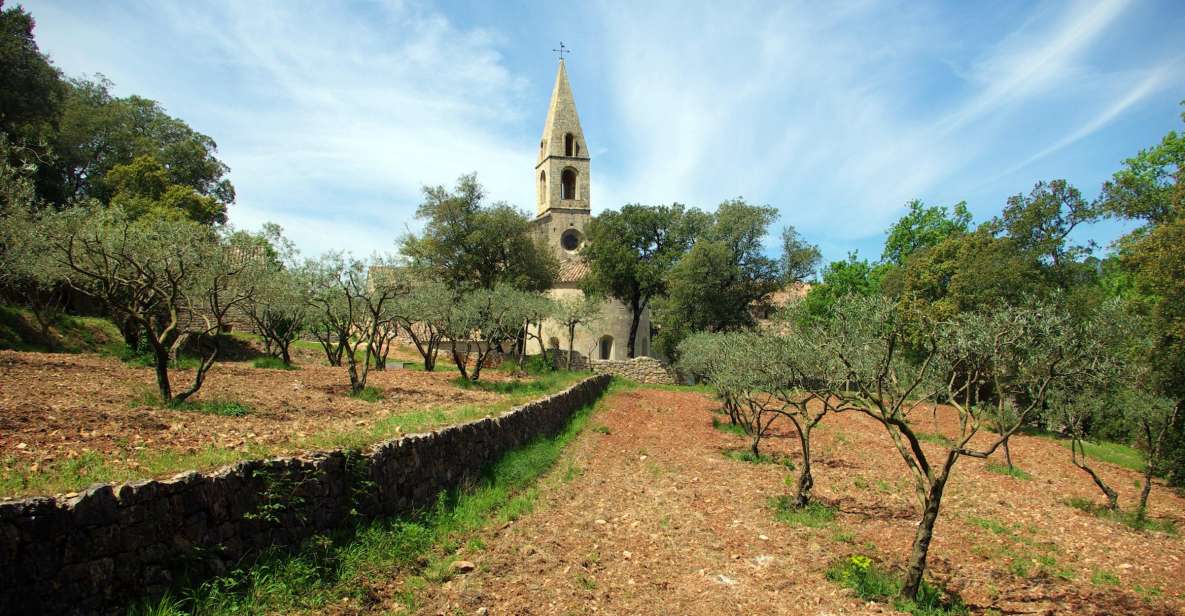 Churches of Provence & French Countryside Private Tour