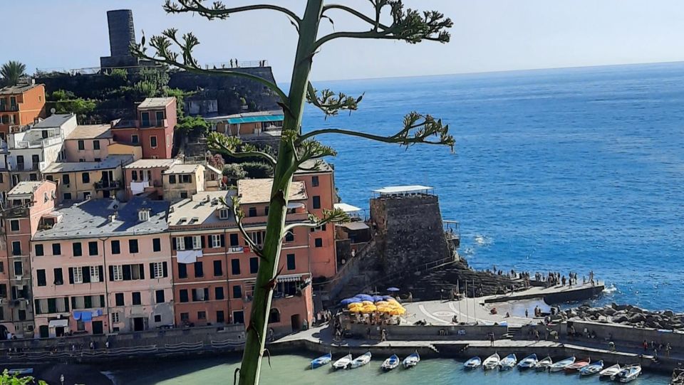 Cinque Terre Semi-Private Day Tour From Montecatini Terme