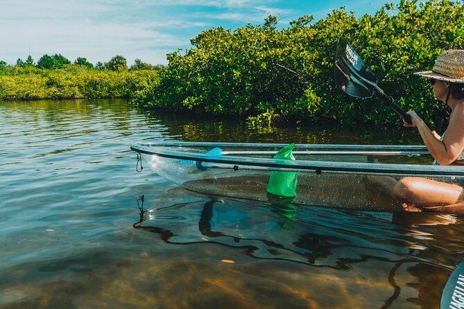 Clear Kayak Tour of Tarpon Springs | Manatee Season