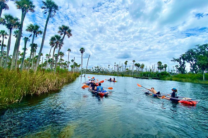 Clear Kayak Tours in Weeki Wachee - Overview of Clear Kayak Tours