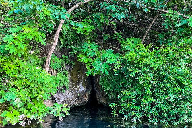 Clear Kayaking Eco Adventure Tour in Marianna