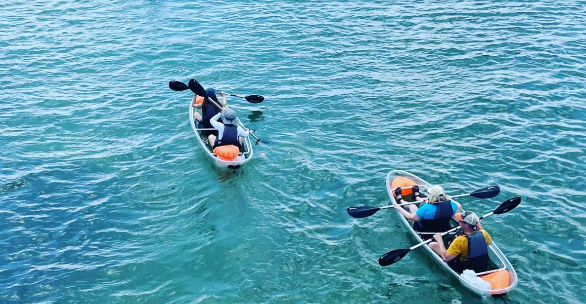 Clearwater: Guided Kayaking Tour