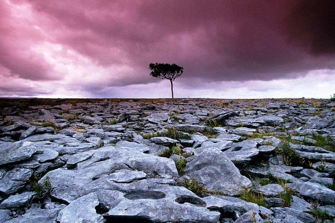 Cliffs of Moher, Burren and Wild Atlantic Way Day Tour From Galway City