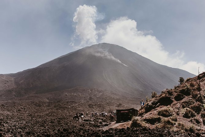 Climb Active Pacaya Volcano + Box Lunch at the Top – Shared Tour