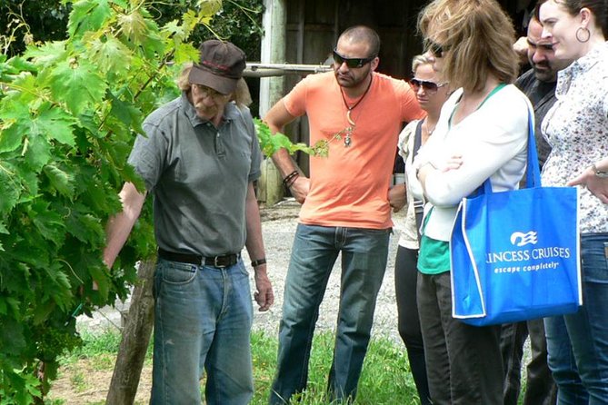 Coast to Coast Auckland Wine Tasting Day Tour