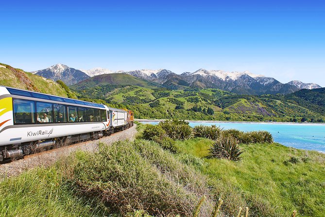 Coastal Pacific Train Journey From Christchurch to Picton - Wildlife Sightings During the Trip