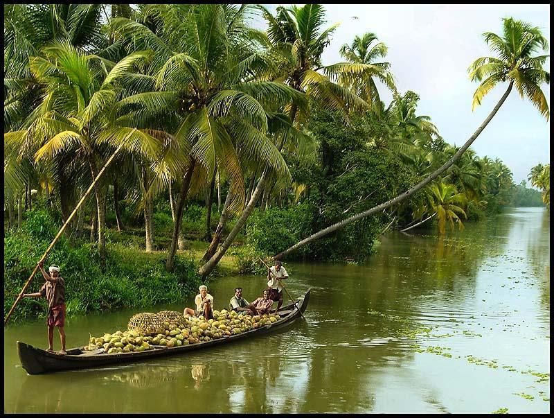 Cochin: Alleppey Backwater Private Day Cruise by Houseboat