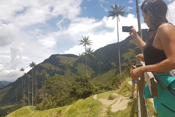 Cocora, Salento and Filandia (The Daughter of the Andes) Walking Tour in Quindio