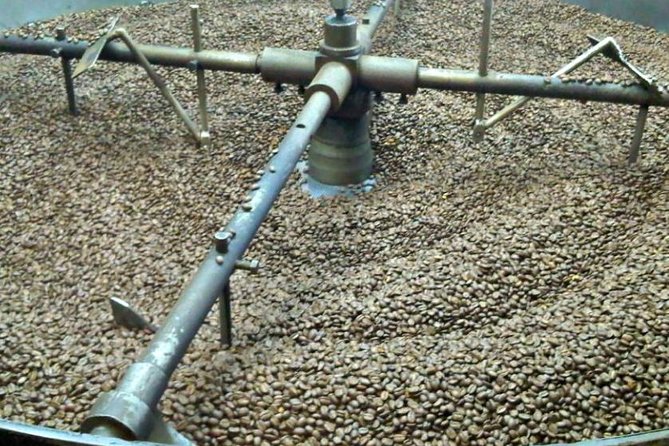 Coffee Farm Hacienda La Coloma Private Tour With Optional Lunch